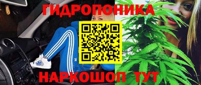 прущая мука Будённовск