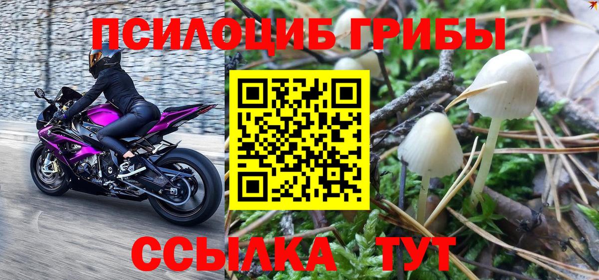 Псилоцибиновые грибы Magic Shrooms Корсаков